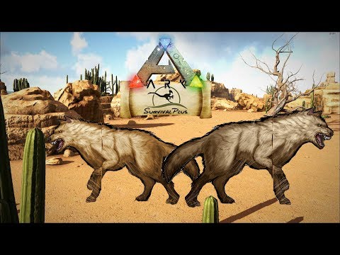 ARK: Survival Plus [056 - Spezialfolge] - Direwolf Taming