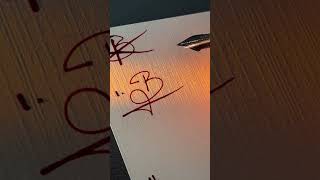 How to sign the letter B?❤️ #signature #calligraphy #art #art #handwriting 