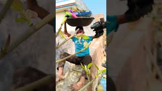 bacchon khilaune la lo ghadi 😂 #automobile #gadiwaladj #toys #toyswala #minitractor #tranding #dj