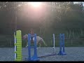 Rare:jument 5ans palomino top origines dressage/jumping