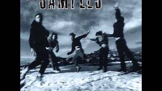 The Samples - Could It Be Another Change