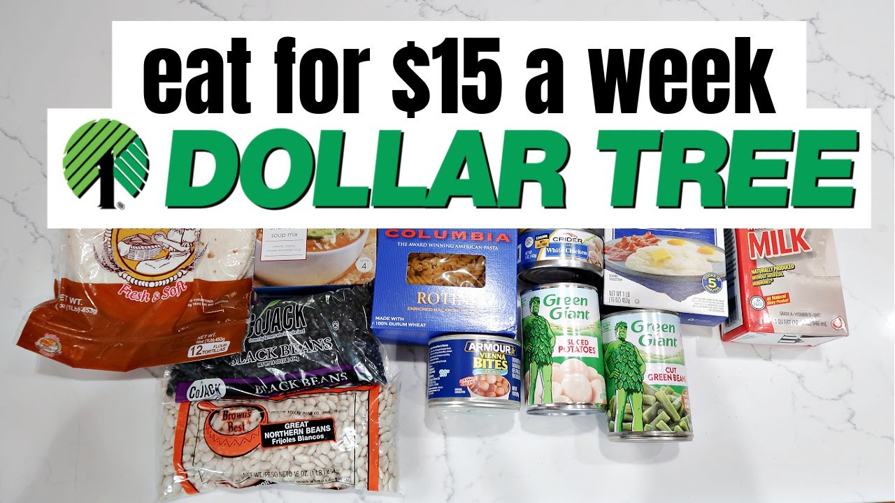 How to Eat for $15 a Week | Dollar Tree Budget Meal Plan | Extreme Grocery Haul