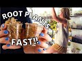 BEST Plant Propagation Method! | Propagation Bin from START TO FINISH | HOW TO propagate any plant