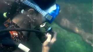 preview picture of video 'Scuba Diving in Malvan'