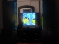 PBS KIDS Dash Logo Effects Part 2