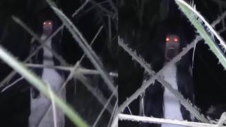 Download lagu 13 Video Hantu Paling Menyeramkan yang Akan Mengubah Pikiran Anda Selamanya mp3 Download lagu 13 Video Hantu Paling Menyeramkan yang Akan Mengubah Pikiran Anda Selamanya mp3