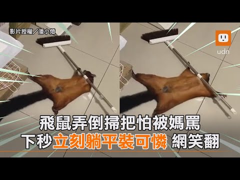 掃把倒著放