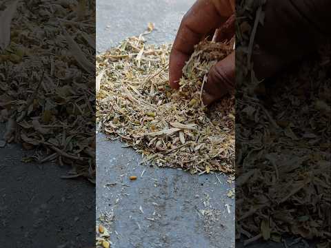 Bioprex labs fenugreek seed extract, packaging size: drum