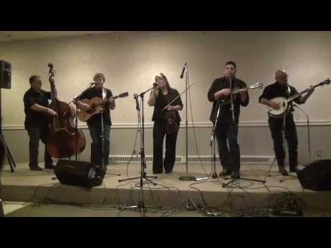 NEWGROUND - JULIANNE COME ON HOME live 2014