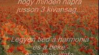 Richard Clayderman - DOLANNES MELODIE