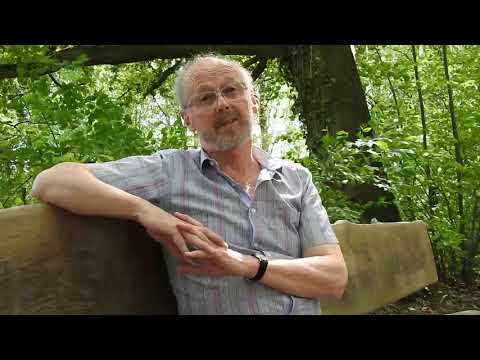 Sint-Franciscus Xaverius kapel te Blaasveld