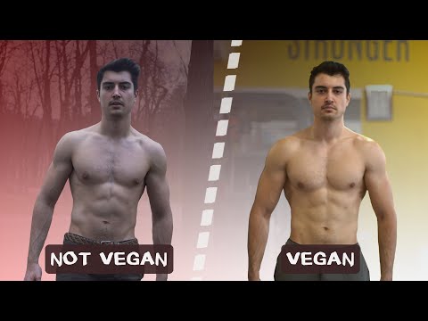 Injury, Recovery, and the Vegan Diet
