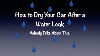 How to Dry Your Car After a Water Leak, Nobody Talks About This!