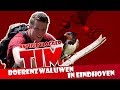 Boerenzwaluwen in Eindhoven - Tims natuurvlog 05
