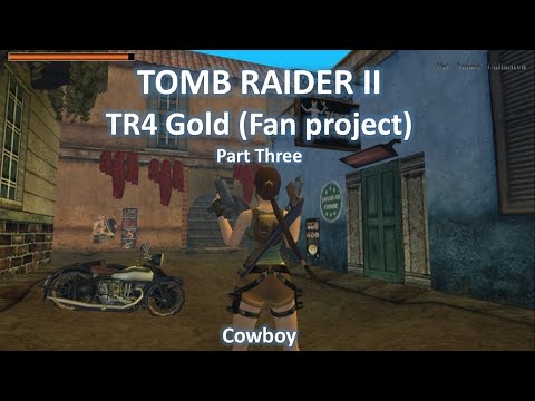 TRLE, TR4 Gold Fan Project (Part Three)