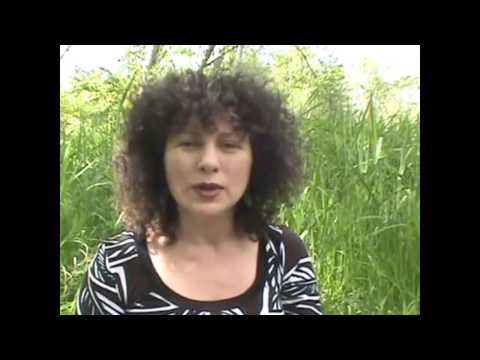 Earth Ways with Sonja Grace: How to Connect to Divine Love & Peace