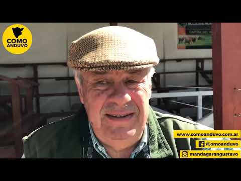 10-10-20 - Jorge Hourcade -  Hourcade, Albelo y Cía. S.A. - Remate Angus de Giusti