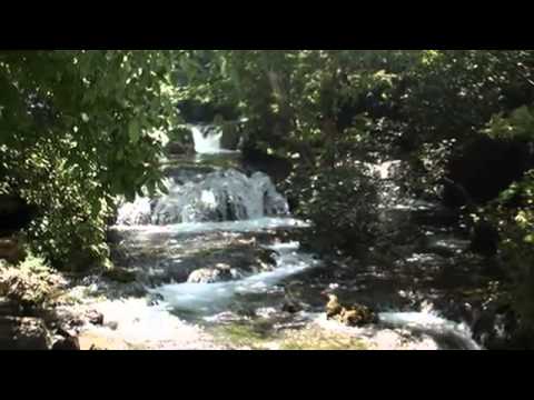 Kurdistan welati jwana