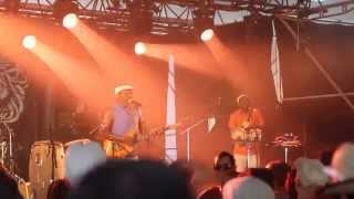 Follow the rainbow - Clinton Fearon - Live - Summer Vibration Reggae Festival 2015