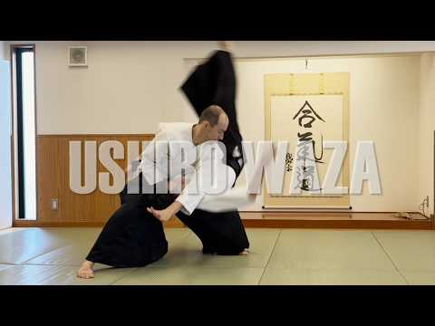 Dynamic Aikido - Ushiro Ryote-dori Compilation