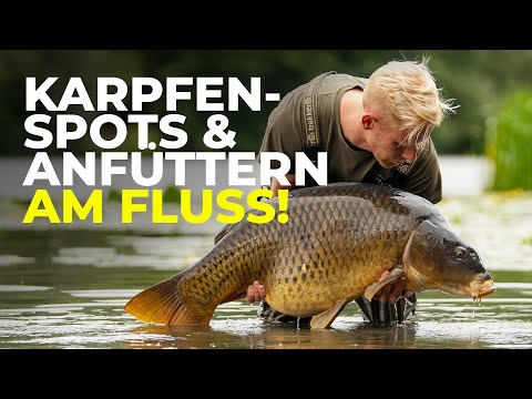Fluss-Hotspots, Anfüttern & Fangen! – Wild Rivers Episode 4 – Teil 1/2 🎣 Karpfenangeln in Frankreich