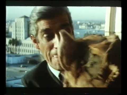 Трейлер