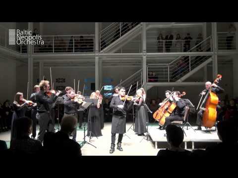 P. Sarasate - Carmen Fantasy op.25 | Vasko Vassilev | Baltic Neopolis Orchestra | Hhighlights