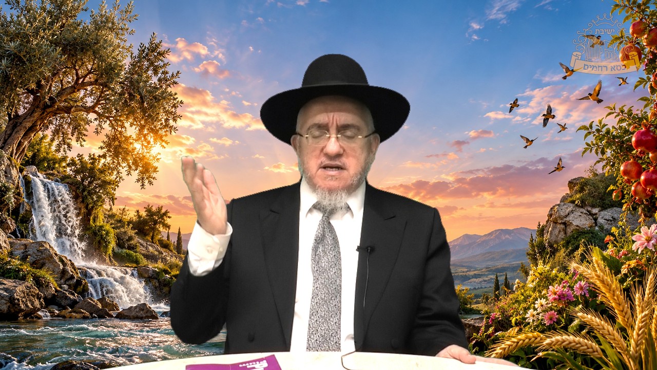 חידושים על פרשת בראשית | המשגיח הרב מיכאל סיגרון | הגות ומחשבה בשיטתו של מרן