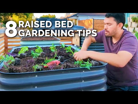 9 Beginner Raised Bed Garden Mistakes to Avoid