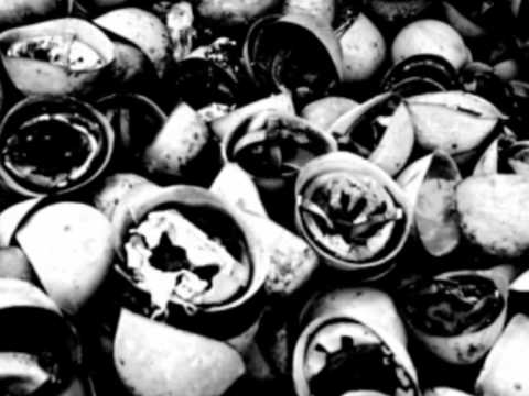 Spagnuolo Loris - Generale ( CoVeR_Vasco )