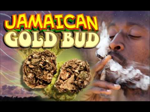Jamaican Gold - Young Stud ft Wave & DOT