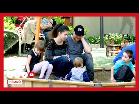 Drámai jövőkép: a fiatalok 40 százaléka egyedül fogja leélni az életét