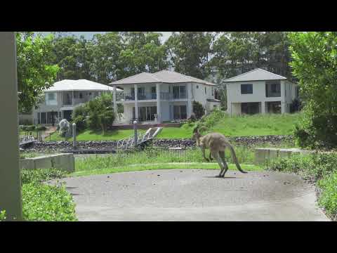 0 bed, 0 bath residential land in Gold Coast - Photo 3