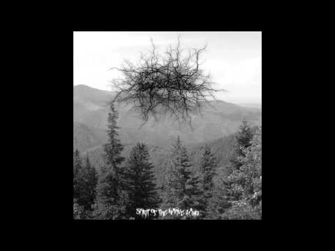 BASARABIAN HILLS - A Day In The Forest