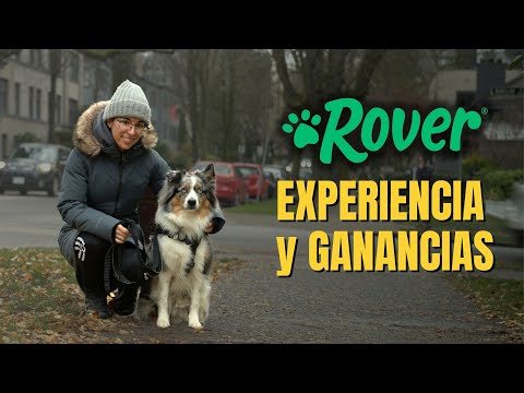 Mi experiencia cuidando perros 🐶 | Cuánto se gana? Rover