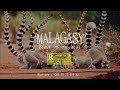 Afro Salegy Kidodo Bassall Instrumental Malagasy Kay Kenny Black Nadia Tybe Beat 2025
