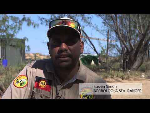 BORROLOOLA  RANGERS