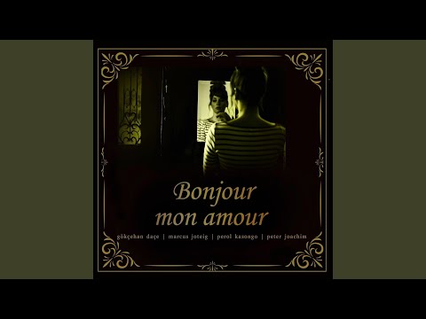 Bonjour Mon Amour video