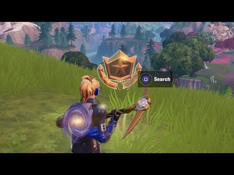 Fortnite Battle Royale - Secret Season 10 Week 5 Battlestar Location (Catastophie Challenges)