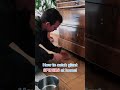 How to catch giant spiders #Short