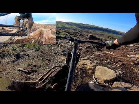 Cotic Flare Max live ride review