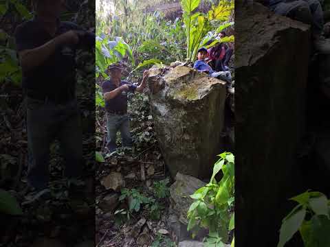 Arbol Petrificado, San Antonio de las Aradas, Quilanga #perrozorro  #Ecuador