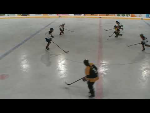 U14 Zempléni Hiúzok - Veszprémi Jéglovagok 2022 02 05 összefoglaló