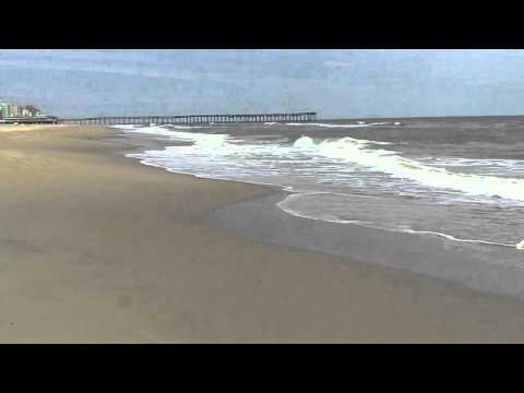 The Coast Is Clear - Jimmy Buffett