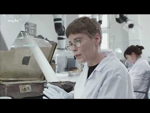 Auschwitz - Konservatoren im Einsatz