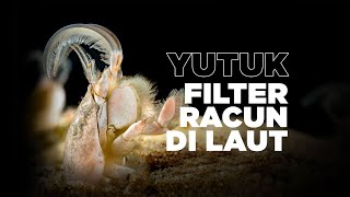 Download lagu Galian Kilat Kepiting Pasir #AlamSemenit mp3