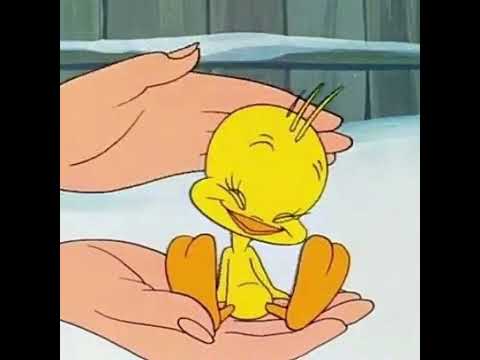 not sorry (speed up & reverb) mfmf, putri dahlia