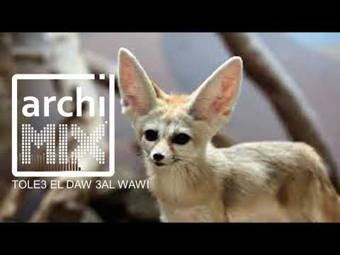 TOLE3 EL DAWW 3AL WAWI (REMIX BY ARCHIMIX) طلع الضو عالواوي