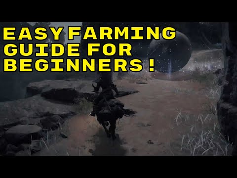 LEVEL Fast In Elden Ring! 585,600 Runes Per Hour - Rune Farm Beginners Friendly