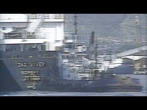 США. Инцидент на учениях. Военные власти приносят извинения 14.12.1988